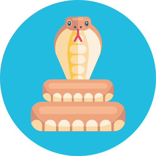 Snake animal animals snake icon