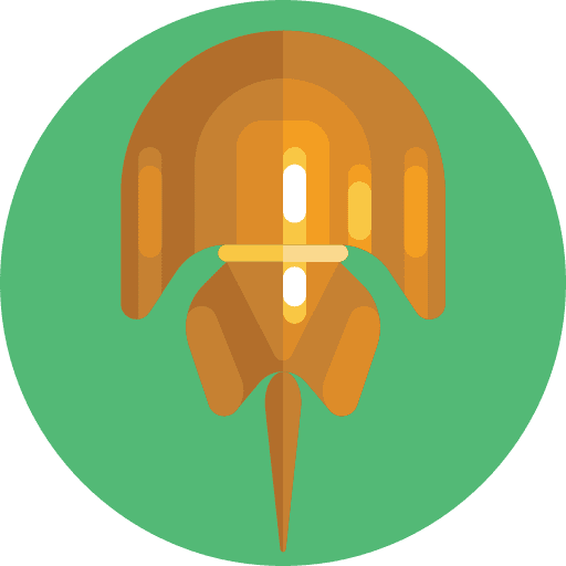 Stingray ocean stingray animals icon