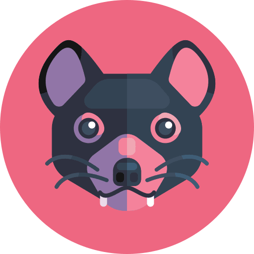 Tasmanian devil wild life wild animals animals icon