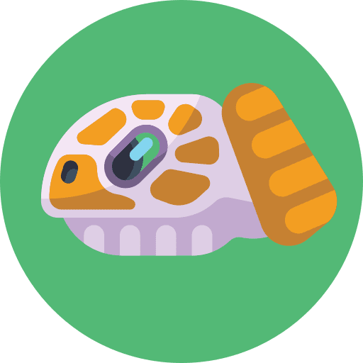 Turtle animals turtle sea creature icon
