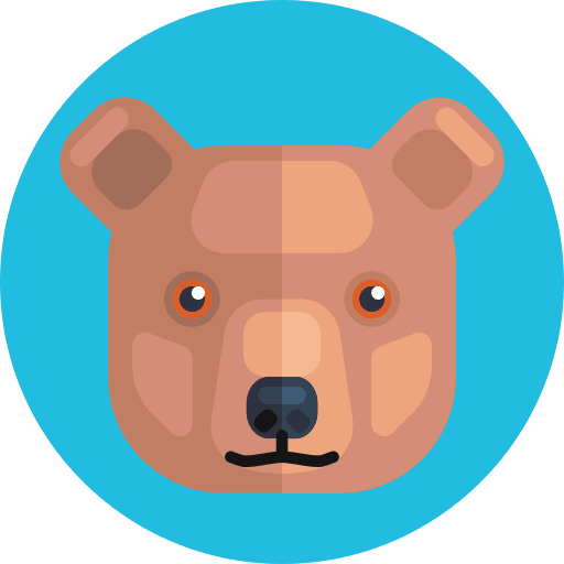Bear animals wild zoo icon