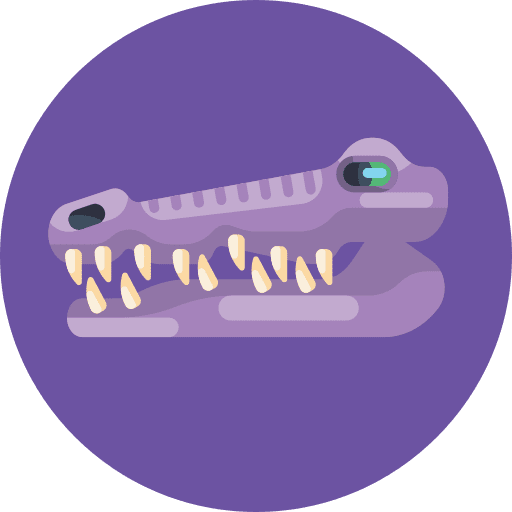 Crocodile wild animals crocodile reptile icon