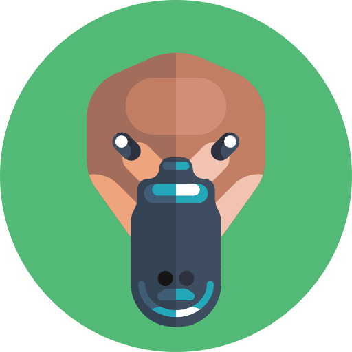 Duck domestic animals duck animals icon