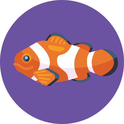 Fish animals sea animal fish icon