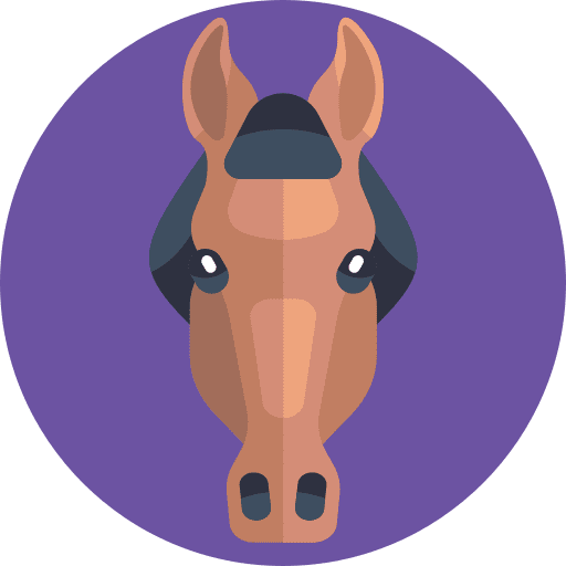 Horse animals domestic animals horse icon