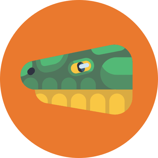 Lizard reptile animals wildlife icon