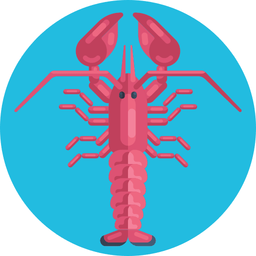 Lobster lobster animals sea animal icon