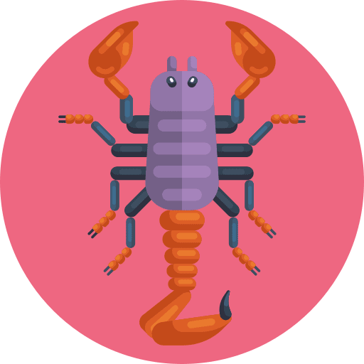 Scorpion animals crustacean scorpion icon