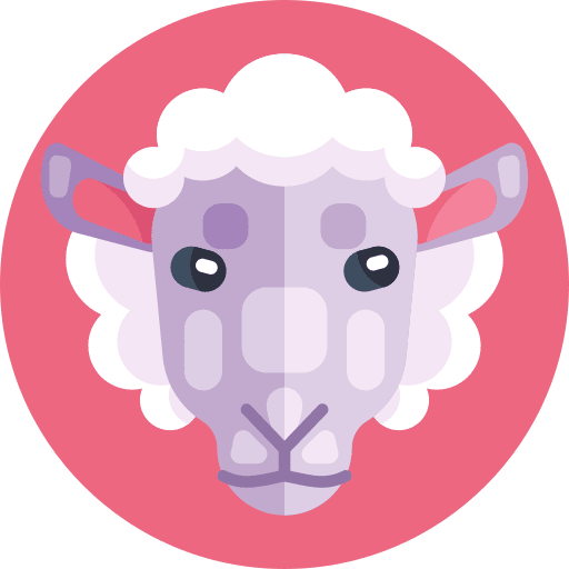Sheep sheep animals farm icon