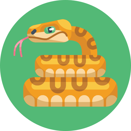 Snake snake animals exotic animal icon