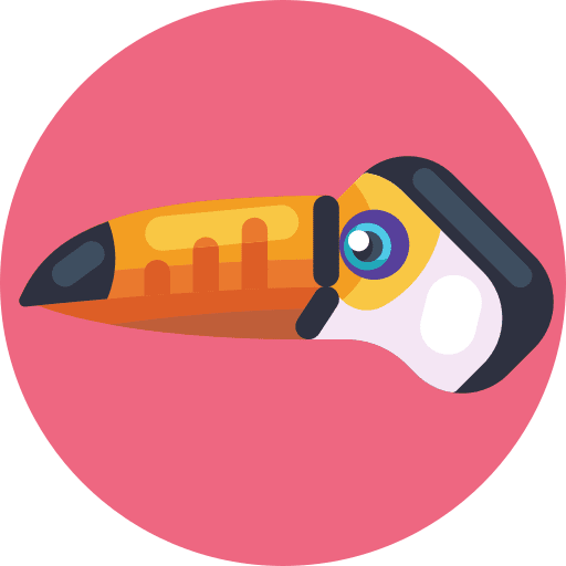 Toucan toucan exotic animal animals icon