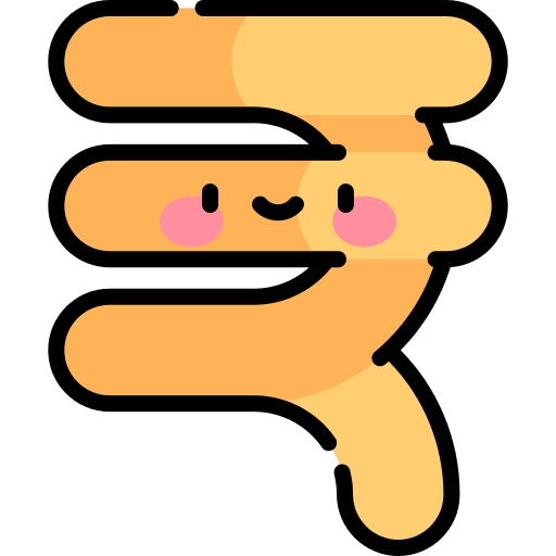 Rupee coin currency money icon