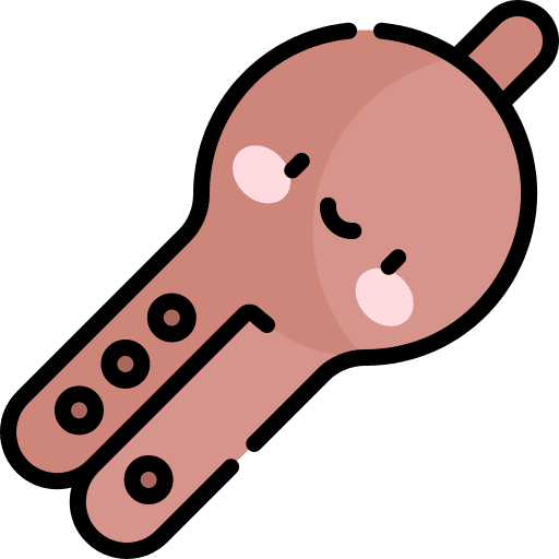 Flute flute wind instrument pungi icon