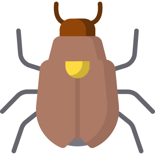 Beetle animal kingdom nature insect icon