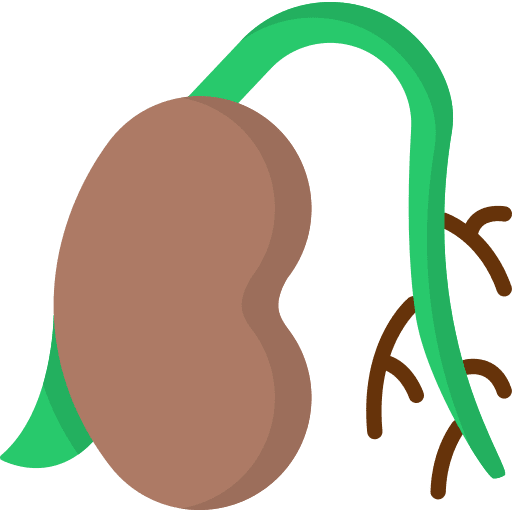 Seed leaf germination nature icon