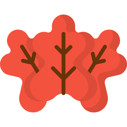 Leaf botanical leaves leaf icon