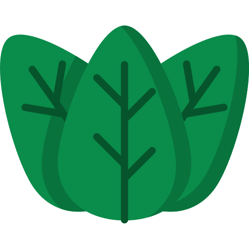 Leaf leaf garden botanical icon