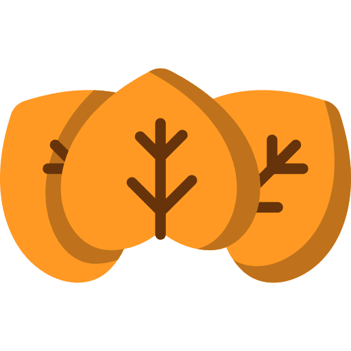 Leaf nature botanical leaves icon