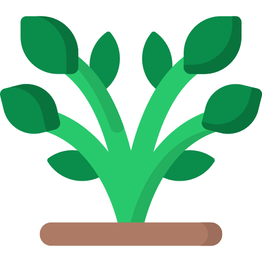 Plant sprout garden leaf icon