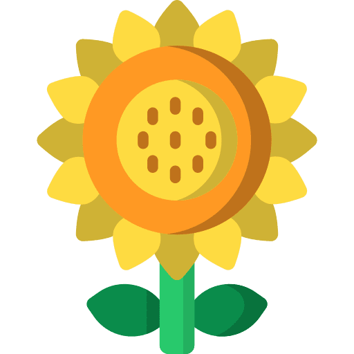 Sunflower botanical petals sunflower icon