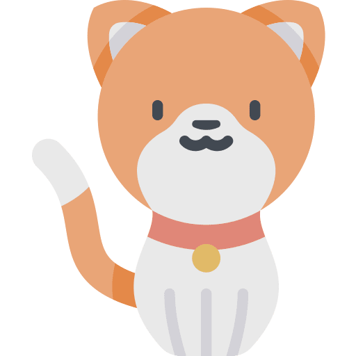 Cat pet cat animals icon