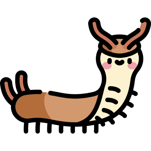 Centipede animals bug centipede icon