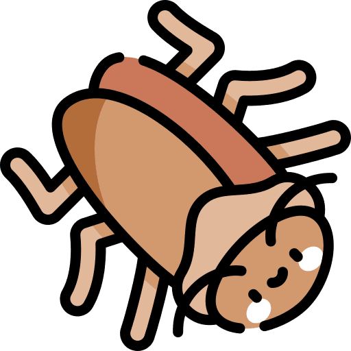 Cockroach cockroach bugs entomology icon