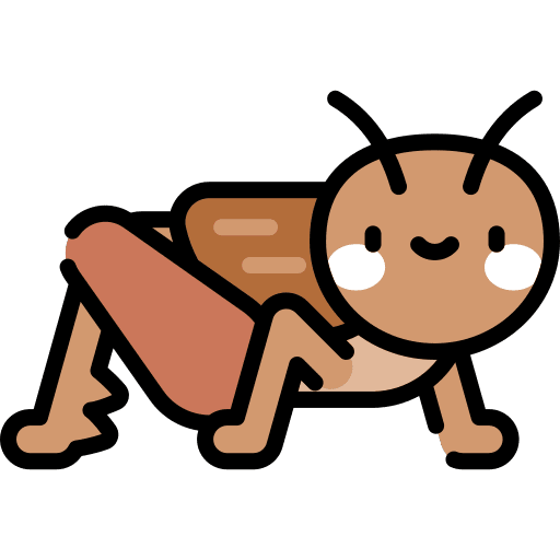 Cricket bug insect cricket icon