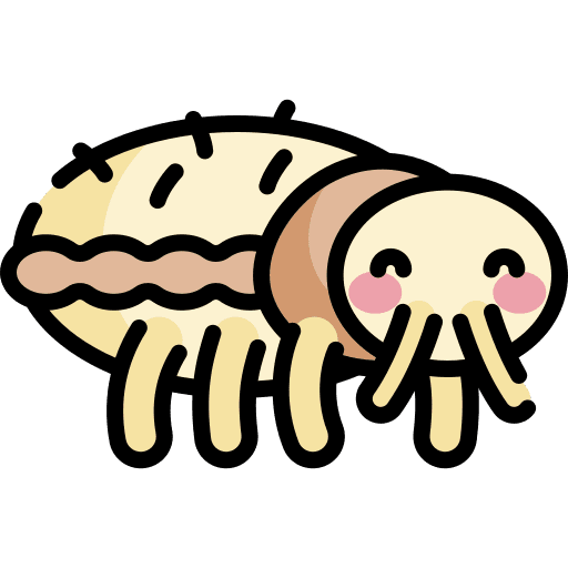Louse insect bug animal icon