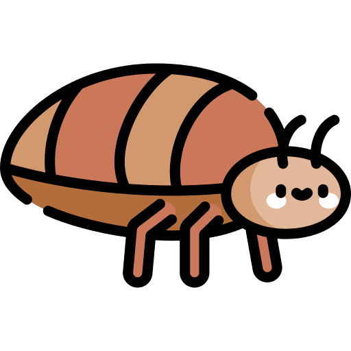 Bedbug bugs bedbug animals icon