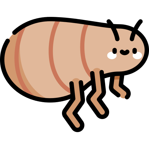 Flea entomology animals insects icon