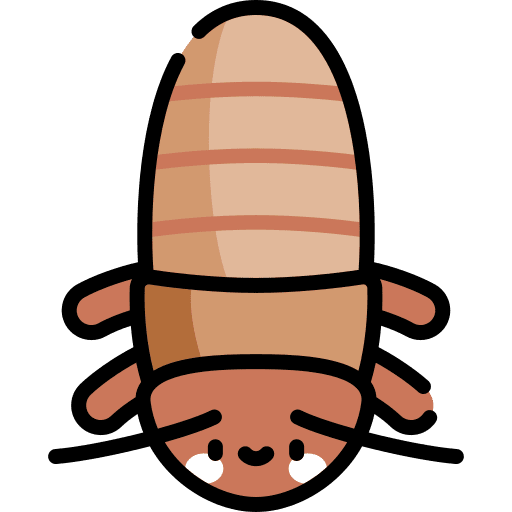 Madagascar hissing cockroach madagascar hissing cockroach animals entomology icon