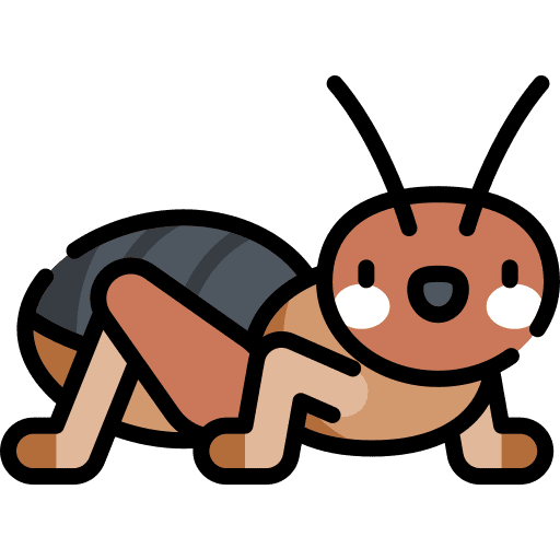 Potato bug entomology animals animal kingdom icon