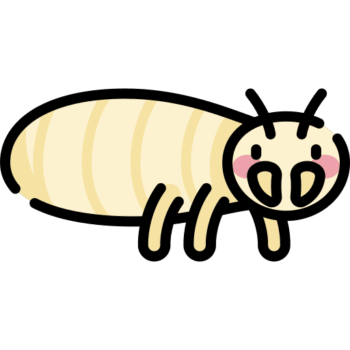 Termite animals bug animal icon