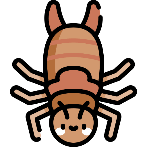 Earwig earwig insect entomology icon