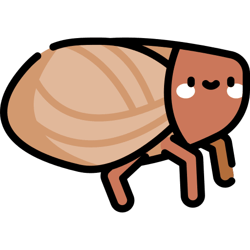 Issidae animals entomology animal kingdom icon