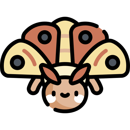 Moth entomology insect animals icon