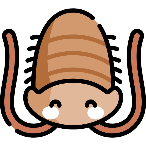 Tribolite entomology bug animals icon