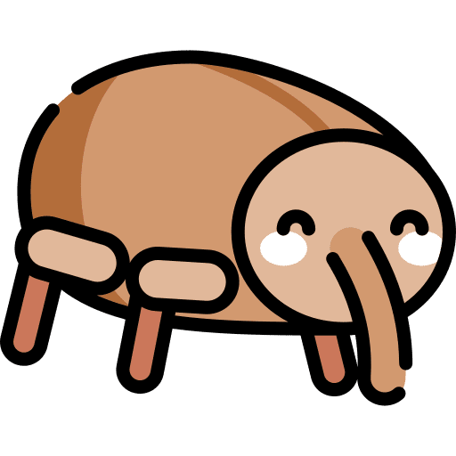 Weevil entomology insects animal kingdom icon