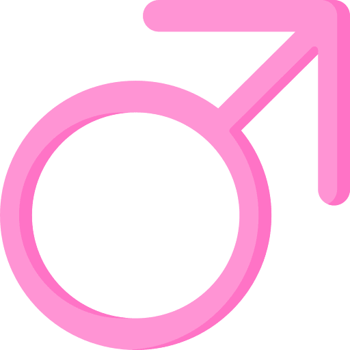 Butch butch shapes and symbols shape icon