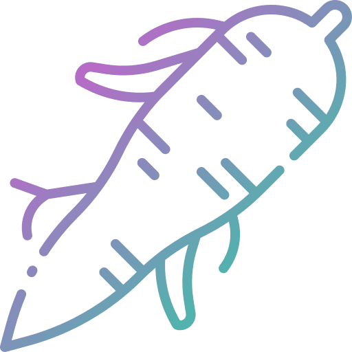 Ginseng nature medical therapy icon