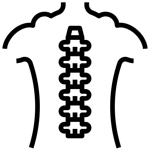Spinal column bone backbone bones icon