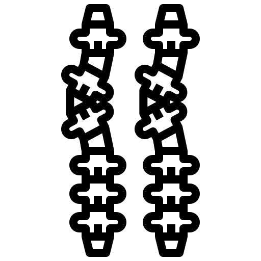 Spine bone human spine icon