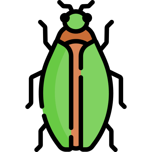 Bug zoology entomology nature icon