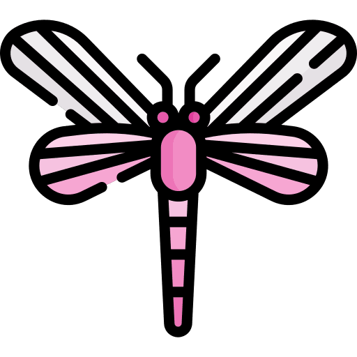 Dragonfly dragonfly entomology animals icon