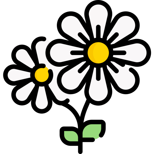 Flower flower botanical petals icon