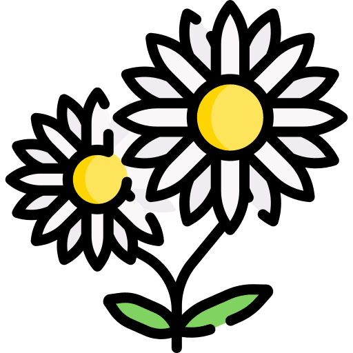 Flower petals spring nature icon