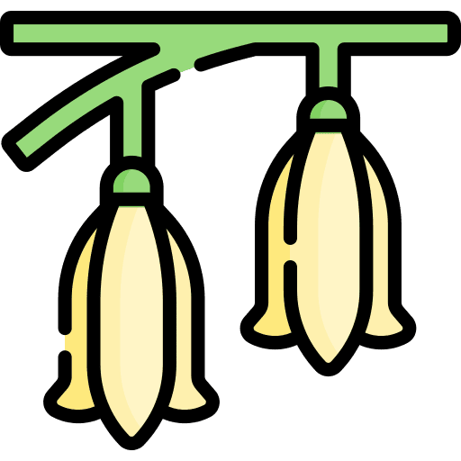 Flower spring nature petals icon