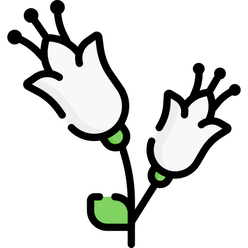 Flower botanical blossom flower icon