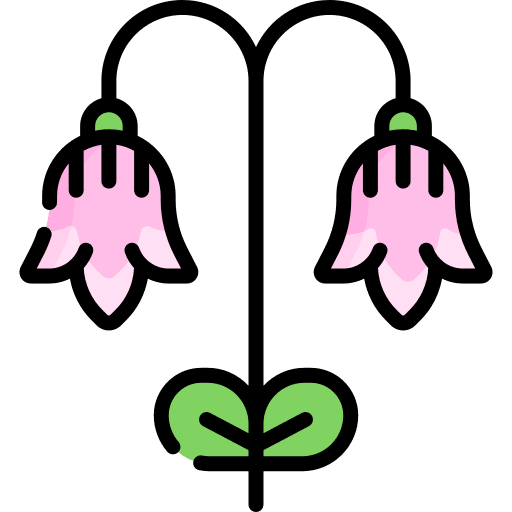 Flower botanical blossom nature icon